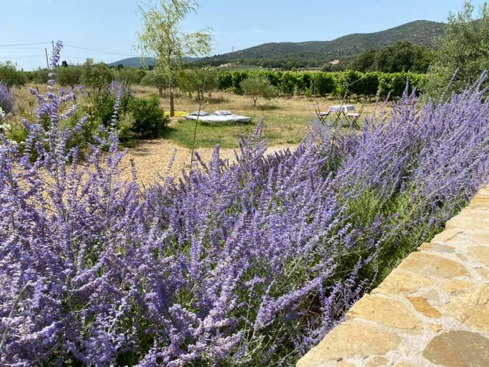 Puyvert Maison D'Hotes Bastide St Victor A 2,5 Kilometres De Lourmarin المظهر الخارجي الصورة