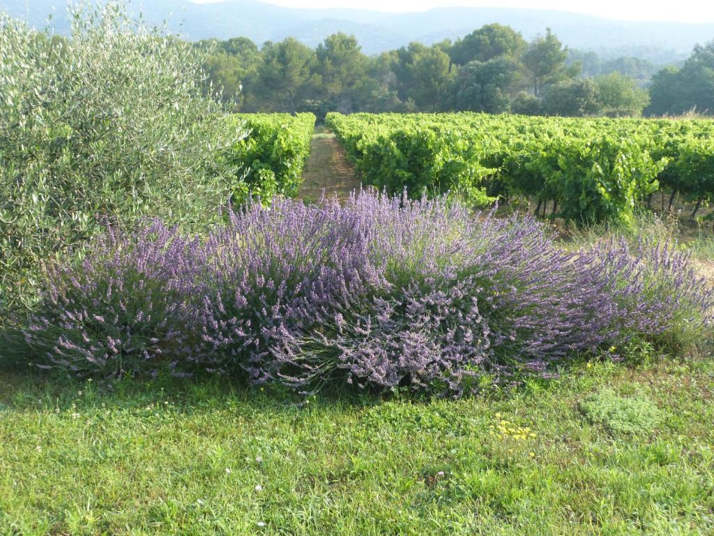 Puyvert Maison D'Hotes Bastide St Victor A 2,5 Kilometres De Lourmarin المظهر الخارجي الصورة